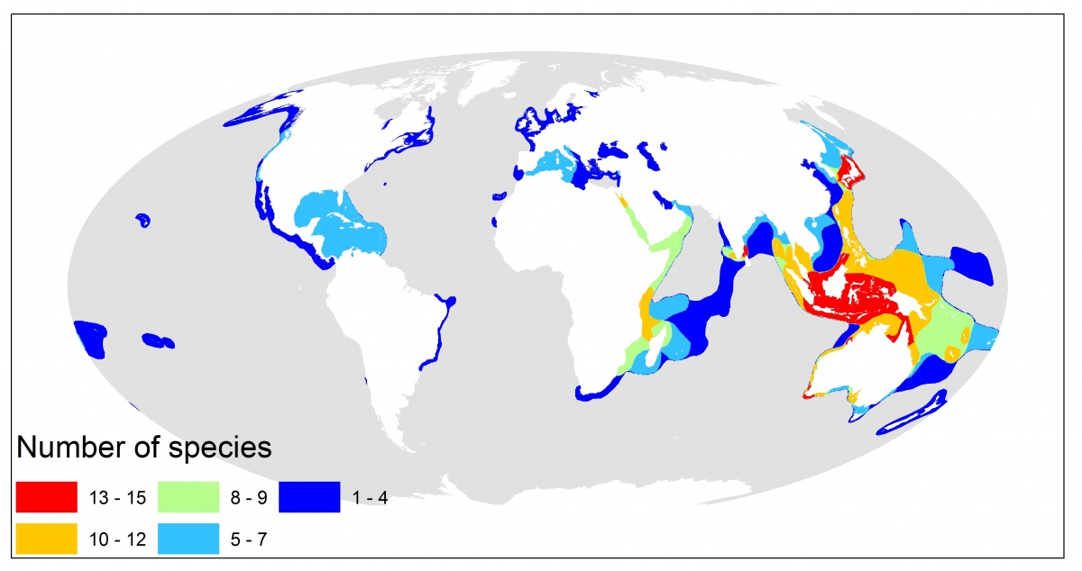 Post 007-On Zostera marina and seagrass-Fig 06-Map of seagrass species richness distribution-WCMC-015-SeagrassRichness2003